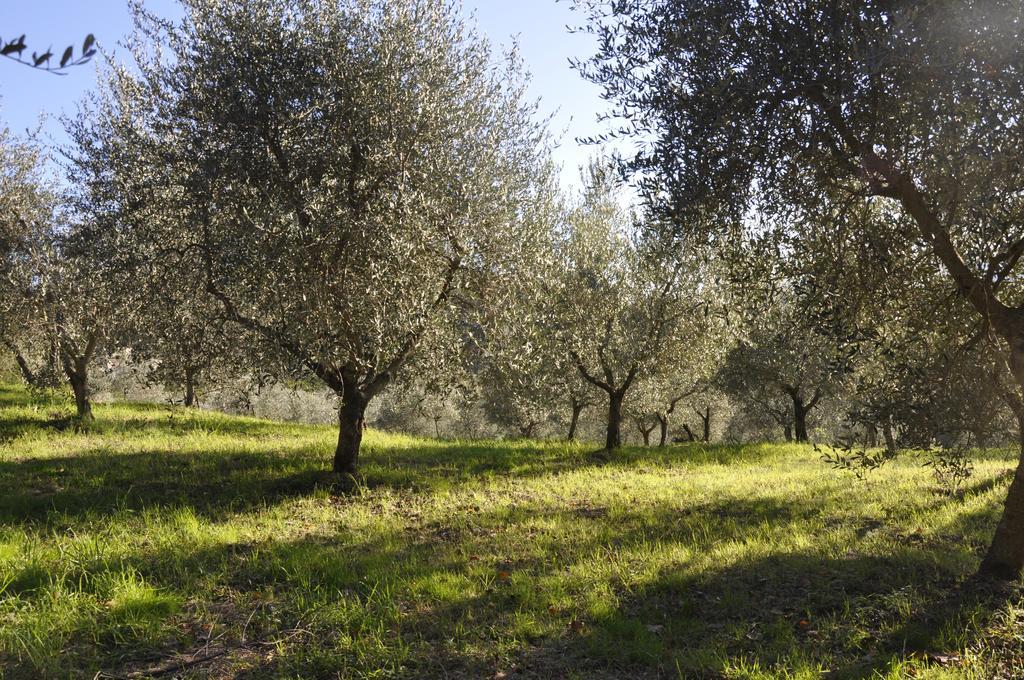 Podere Le Monache Монтайоне Екстериор снимка