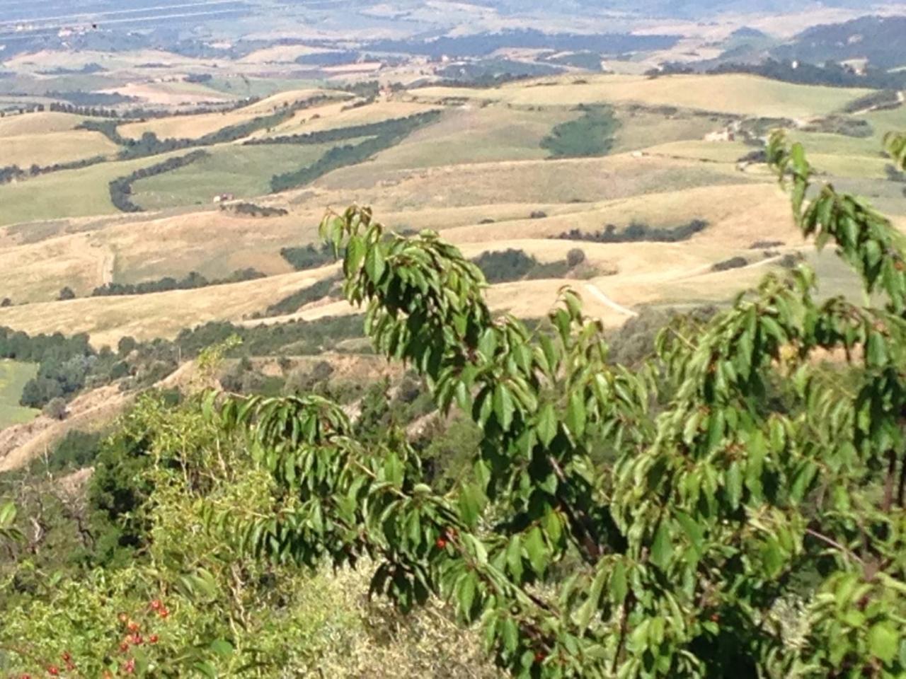 Podere Le Monache Монтайоне Екстериор снимка