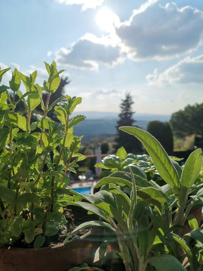 Podere Le Monache Монтайоне Екстериор снимка